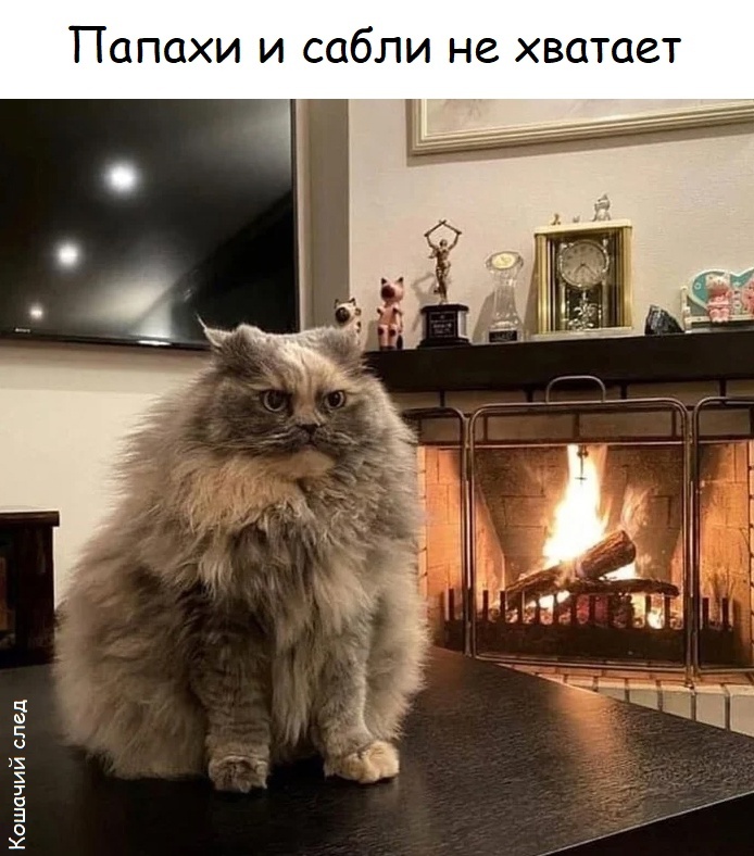    ,  (),  ,   , , 