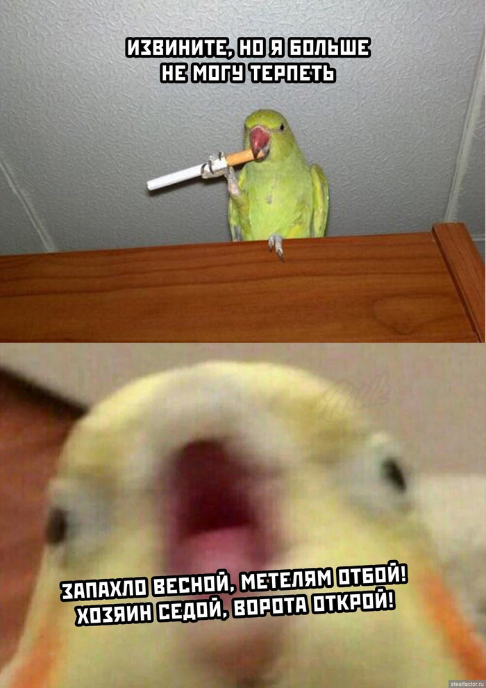  :  5   , , , ,  , , , , , , ,  , ,  , , , 