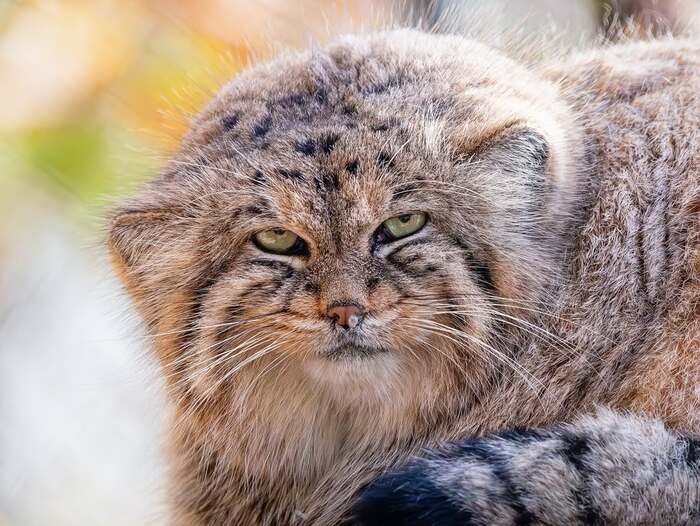   <a href="https://pikabu.ru/story/i_snova_dnyukhi_post_12634977?u=https%3A%2F%2Fwww.pixnoy.com%2Fpost%2F6818441133297157606547%2F&t=%D0%BE%D1%82%D1%81%D1%8E%D0%B4%D0%B0&h=130e686e2ff79e9d2bf3d5d0ec15986a20cf46aa" title="https://www.pixnoy.com/post/6818441133297157606547/" target="_blank" rel="nofollow noopener"></a>