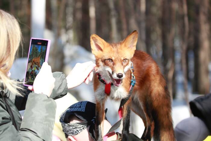 "�������, �������� ��� ��������!"