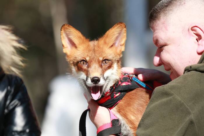 "������! ����������, ��� ������ �� ��������!"