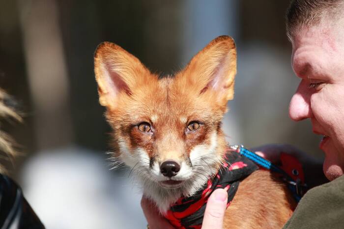 "���� �� �����������?"