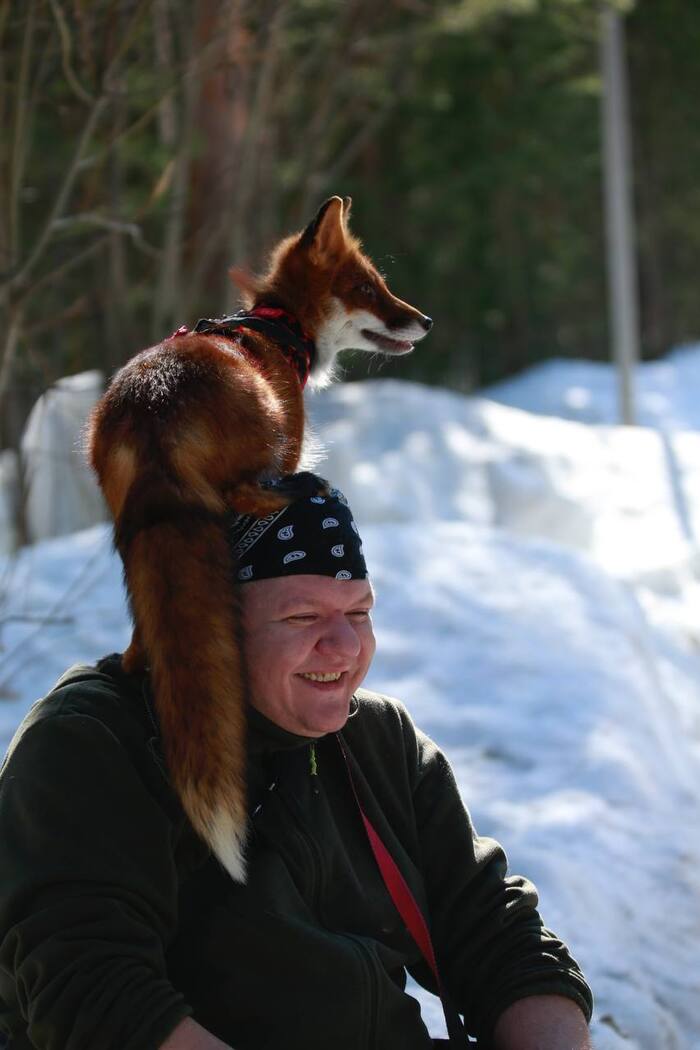 "�� �� � ��� � ����, � ���������!"