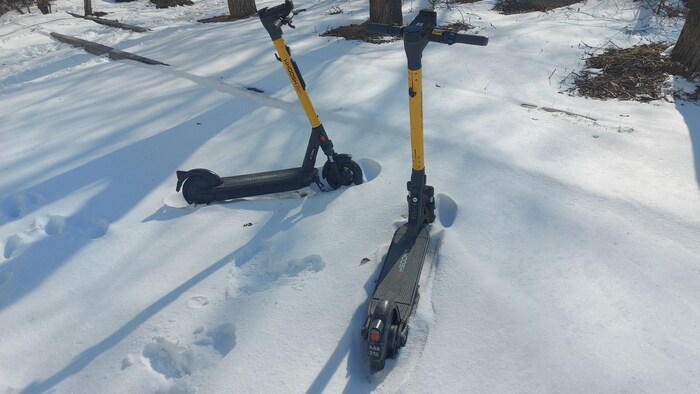 Коротко о весне в Сибири