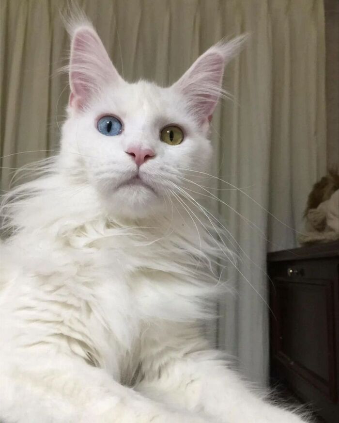   -     ! , -,   ,  , ,  ,  , ,   ,  , ,  , 