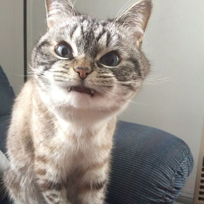      ,     ,  , ,  , , , ,  , 
