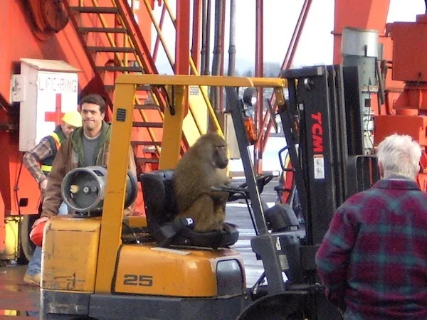 Сотрудник месяца