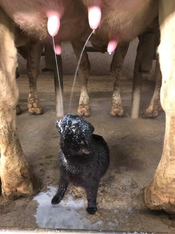    , , 