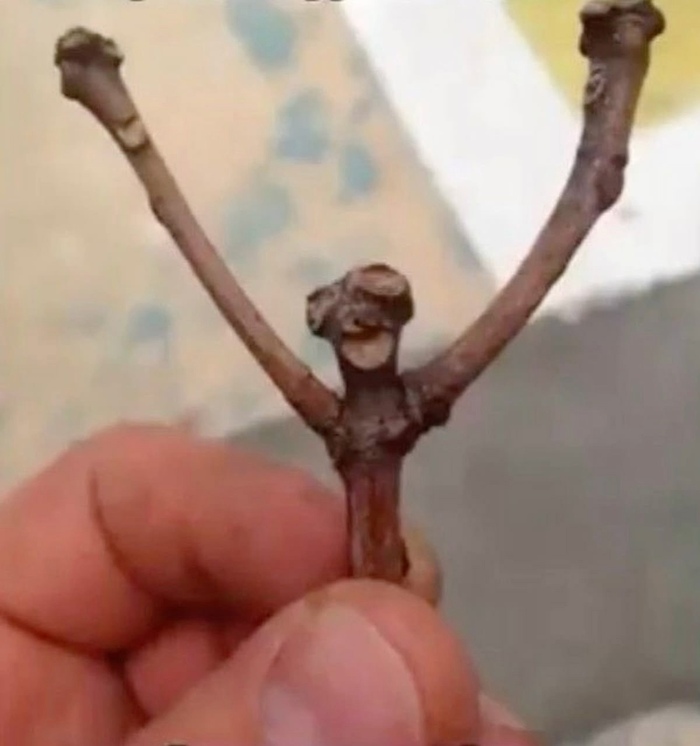 -         , , , 
