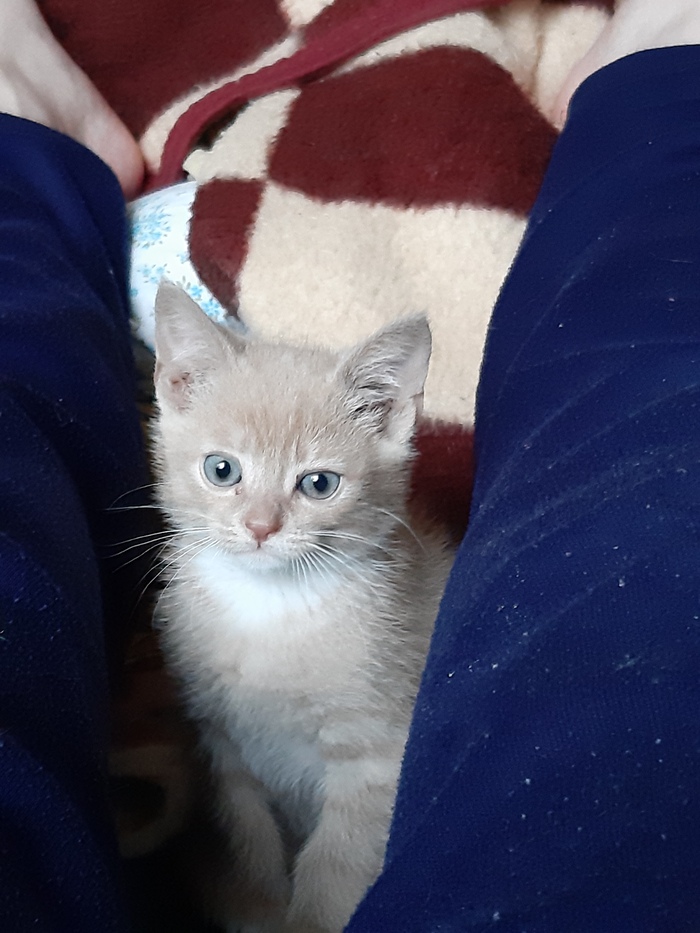 Ты хотел менять оставить на улице?