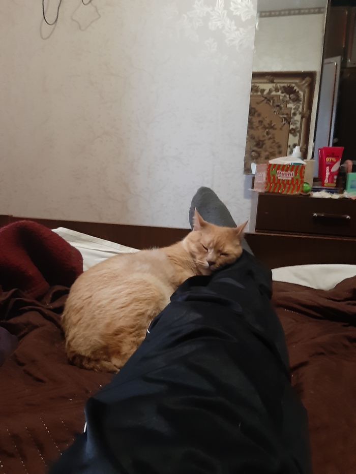 Вот так мы любим спать (сфотал вчера)