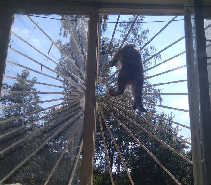   ,    