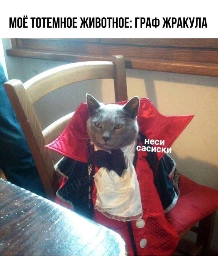   ,  ,  , ,   , , , ,   