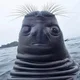Аватар пользователя Y2k18