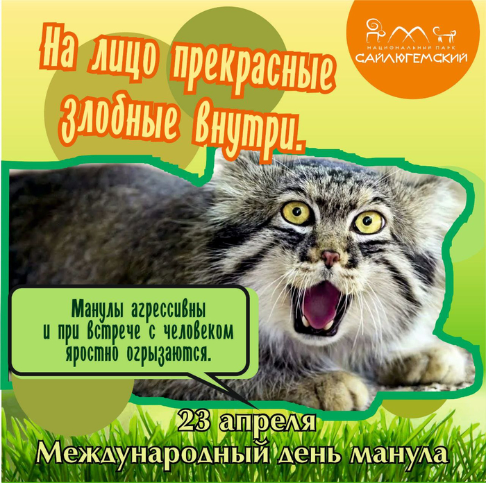   ! ,  ,  , ,  ,  