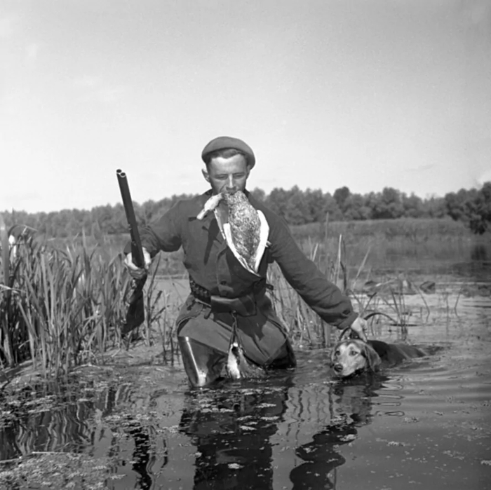 Архивное фото...