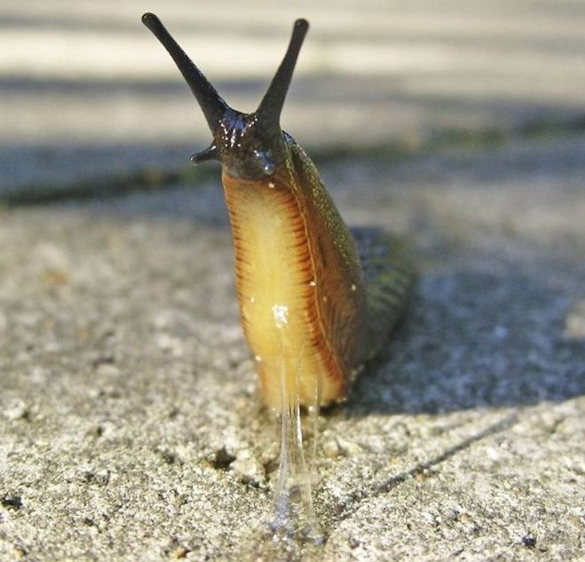   ,       .      ,  ,       !