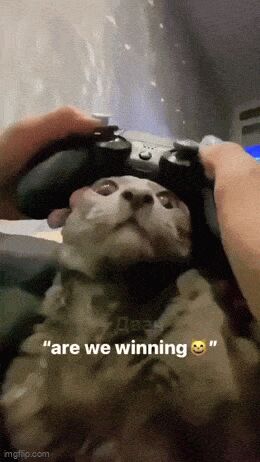   , , , 