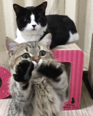   , , , 