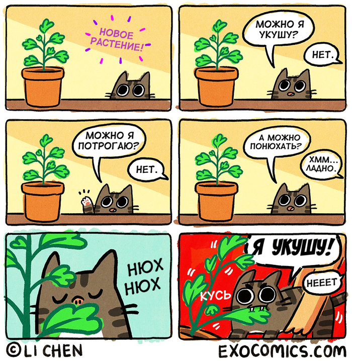   , Exocomics, , , ,  , ,  