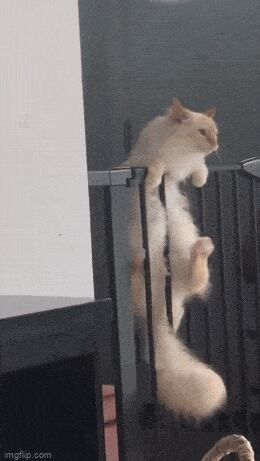   , , , 