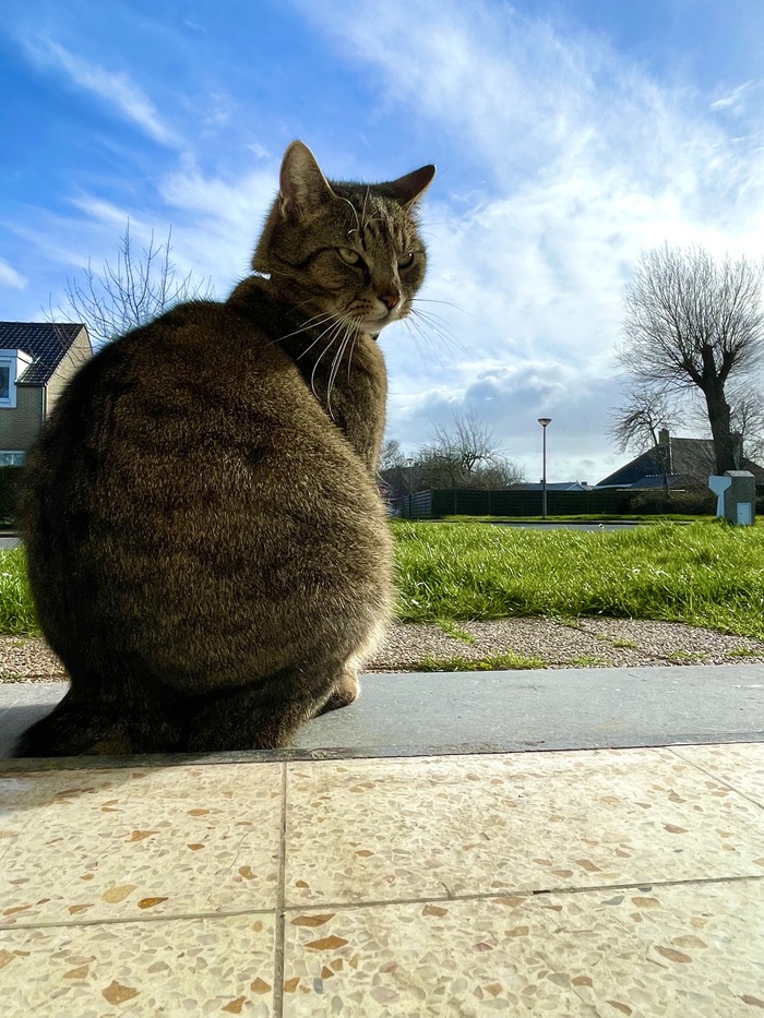 �������� ��� ������. ������� �� ����� ��������� !