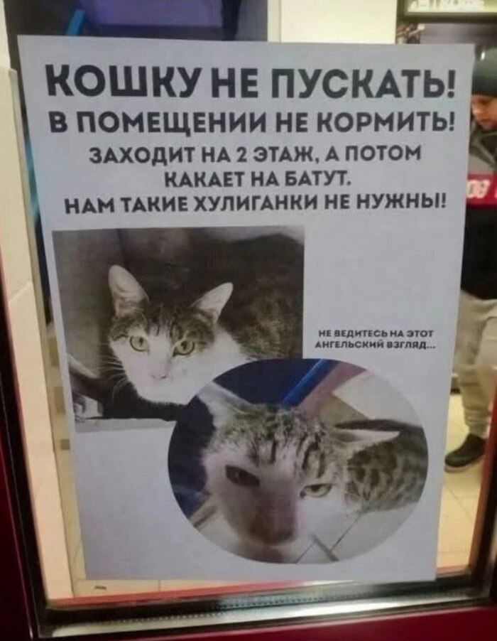  ,   , , , 