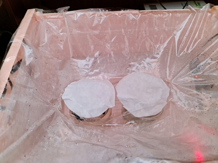 Плёнка с прорезями для банок. Банки накрыты фильтровальной бумагой.