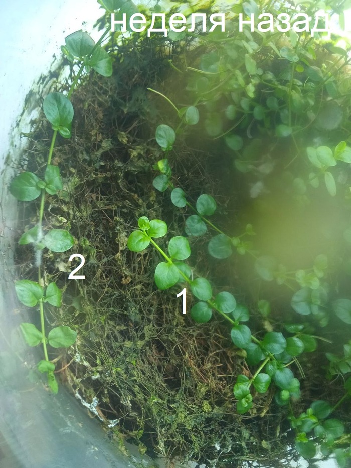    : 22   , , , , , ,  , , 