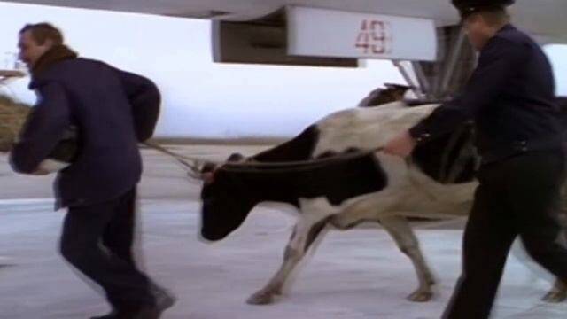 ������������