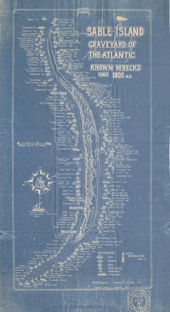 Почему моряки избегают этого места в океане вот уже 400 лет? Тайны острова Сейбл Планета Земля, Земля, Познавательно, Вокруг света, Планета, Факты, Научпоп, География, Удивительное, Биология, Длиннопост, Искусственный интеллект, Сгенерировано