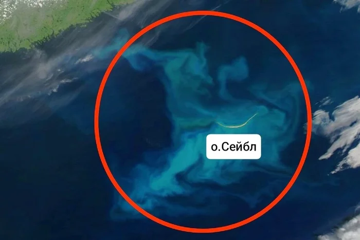 Почему моряки избегают этого места в океане вот уже 400 лет? Тайны острова Сейбл Планета Земля, Земля, Познавательно, Вокруг света, Планета, Факты, Научпоп, География, Удивительное, Биология, Длиннопост, Искусственный интеллект, Сгенерировано