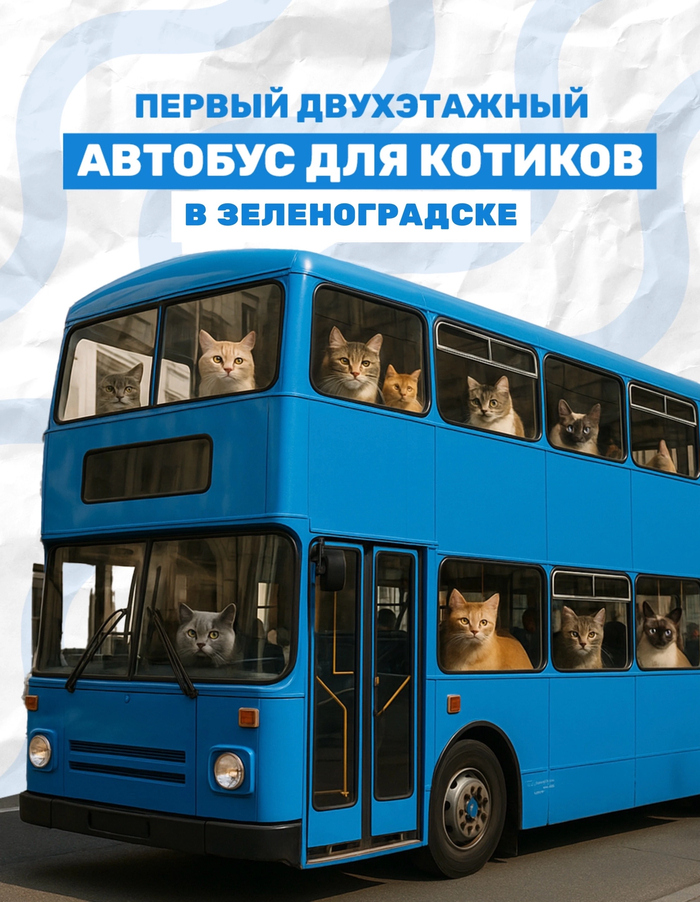      , , Telegram (), 