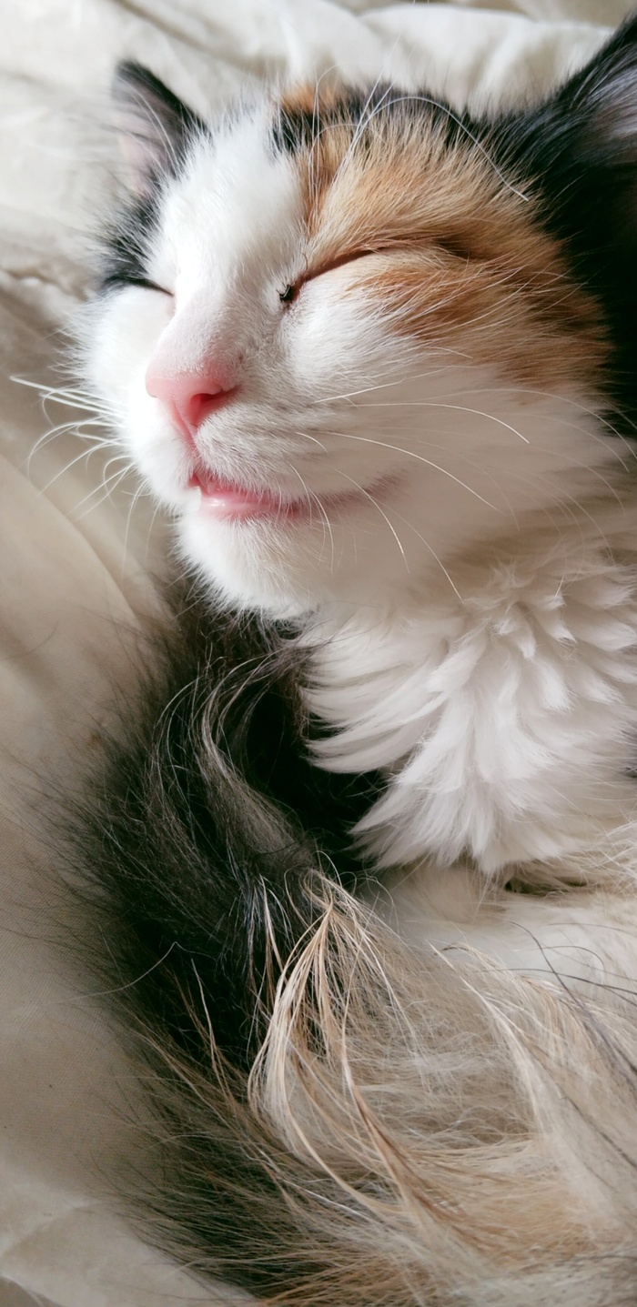 ��� � �� ������ ���������� �����