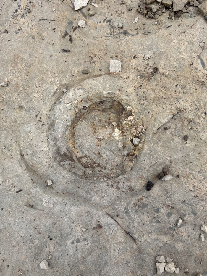 Еще один экземпляр, на этот раз в огромной плите, которую с собой не прихватить.