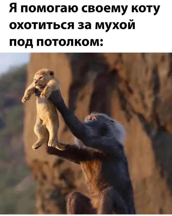     ? , ,   , ,  , , 