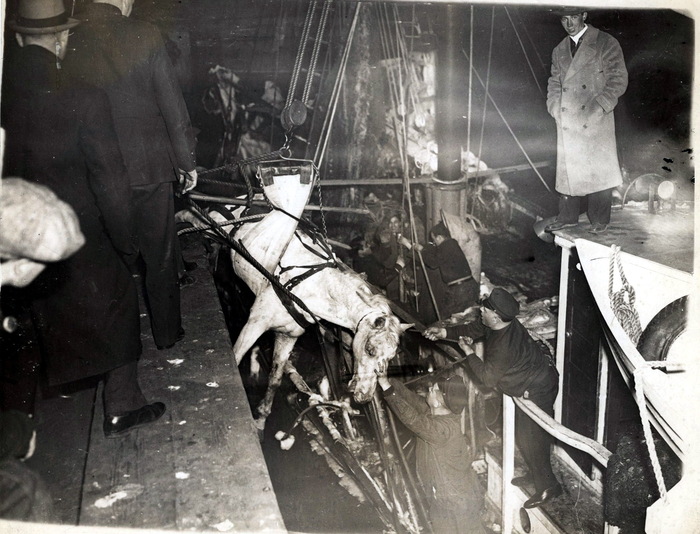 1937. ������� ���������� ���������� � �����, ����� ������� ������ �� ����, ��� ��� ����� ����� �������� � ��������