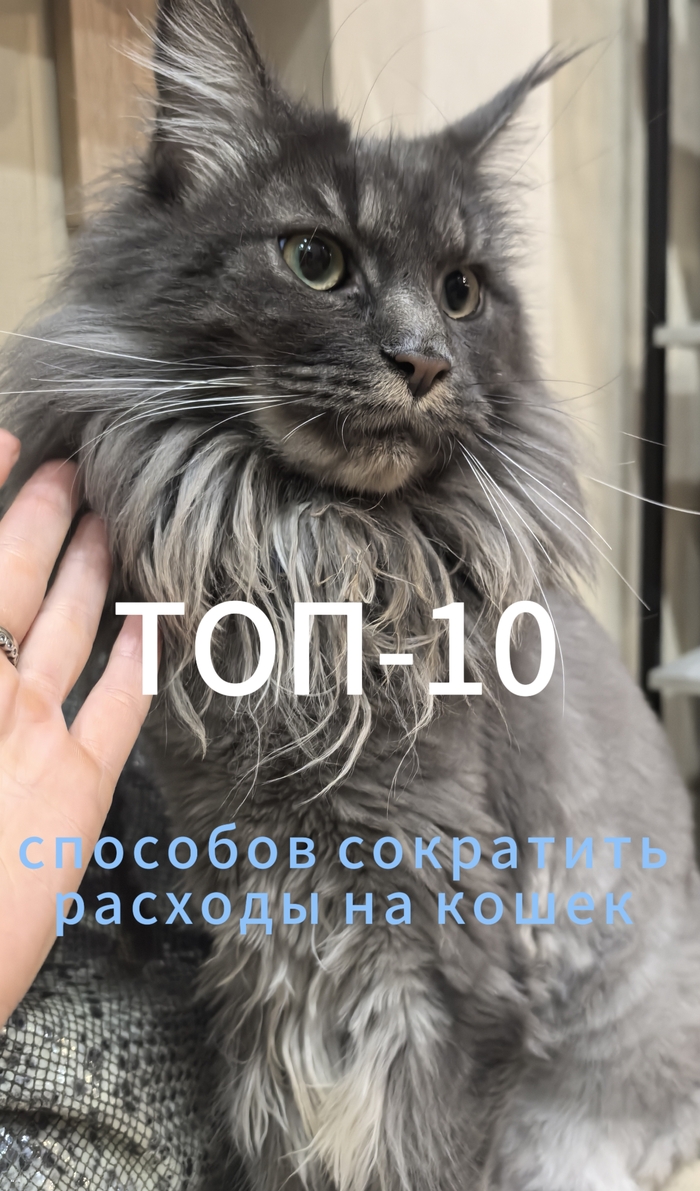      , -, ,  , 