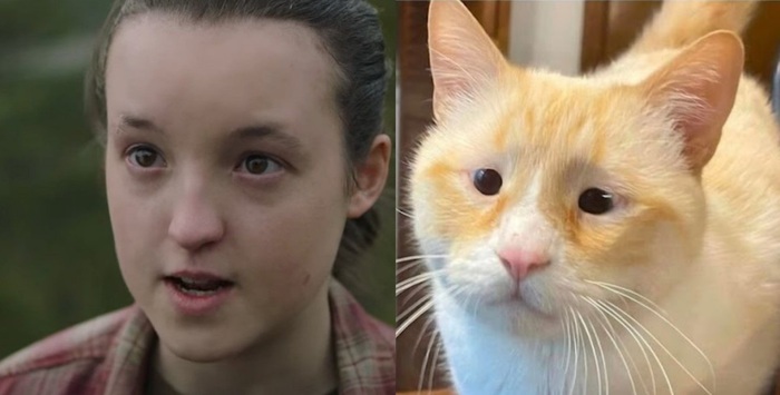 Элли из last of us