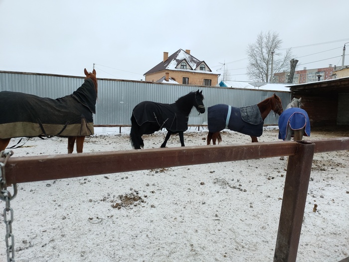 Зимнее построение