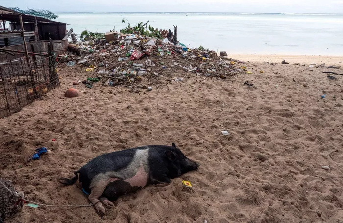 � �����-�� ����� ��� �������