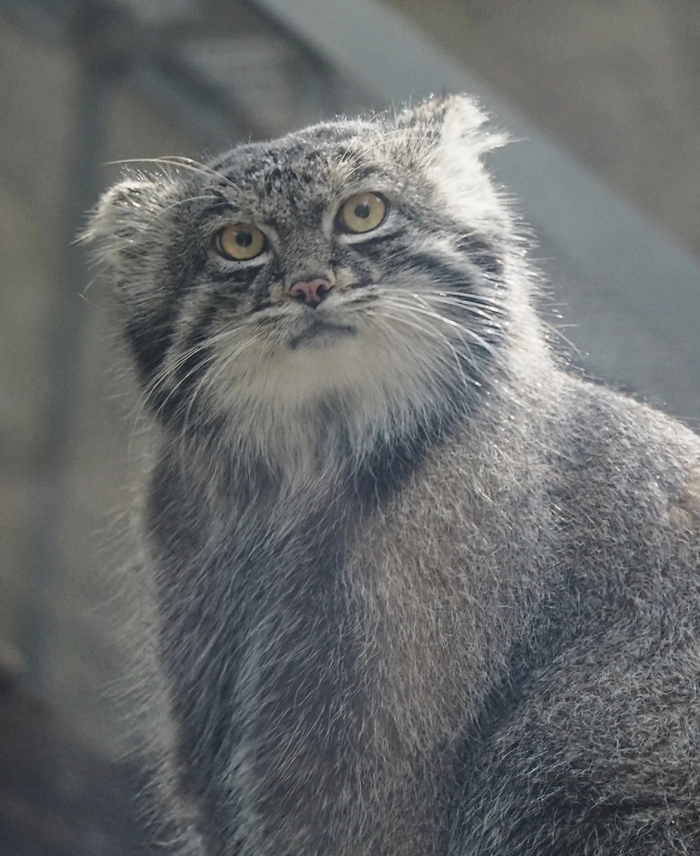 �� � ������ ����� �����������?!