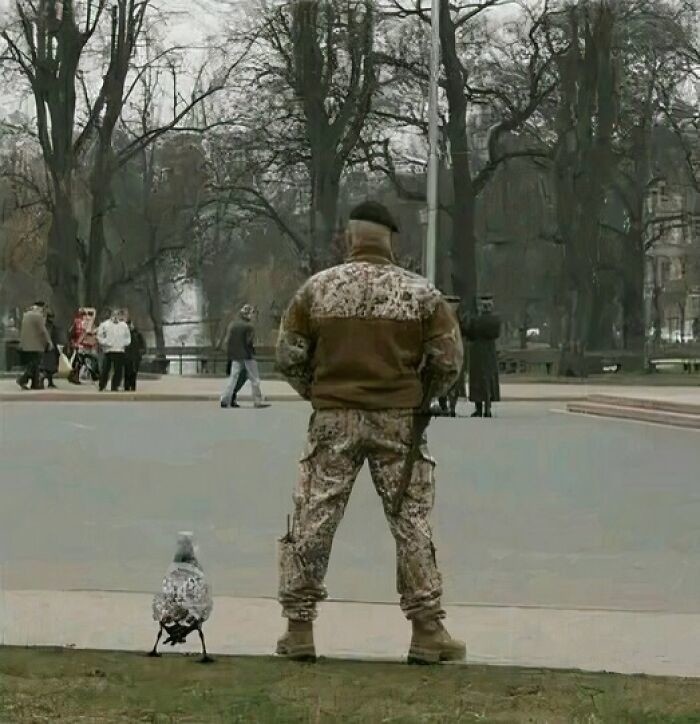    , ,  