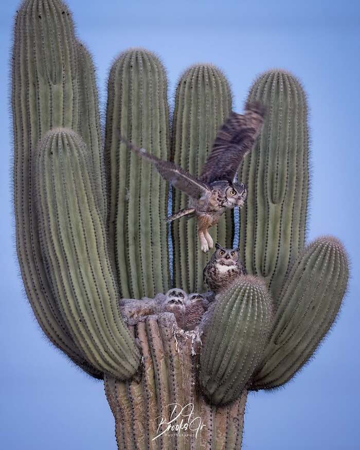   , , , ,  ,  , , ,  ,  , , 