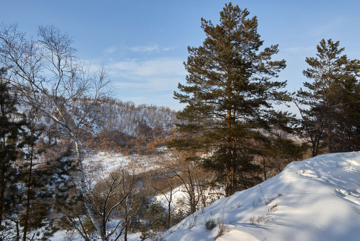      , Pentax,  , , , 
