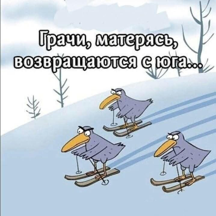   ,  ,   