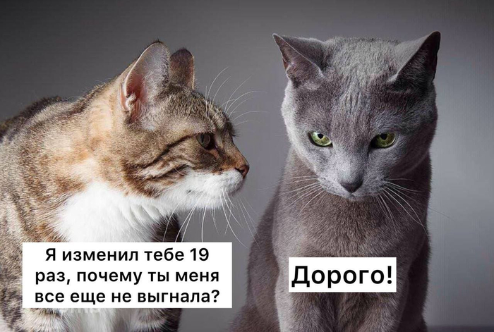      100     , , , , , 
