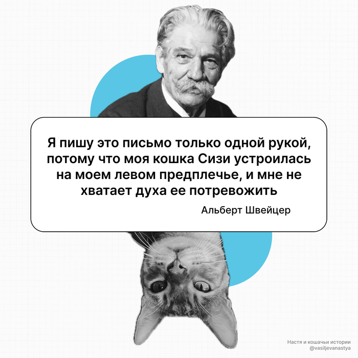 ����� ������������ ������� �� ������