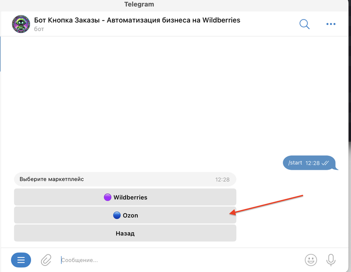 Как расшифровать финансовый отчет на OZON, узнать чистую прибыль и посчитать налог с помощью Telegram Бота бесплатно