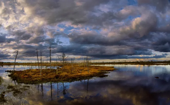 Место, где больше всего комаров и мошек. 10 фактов про Васюганские болота Земля, Планета Земля, Длиннопост